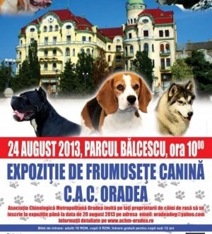 Parcul Balcescu - Expozitie de frumusete canina