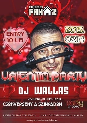 Valentine's Day Party With Dj Wallas