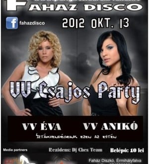 VV Party în Disco Faház