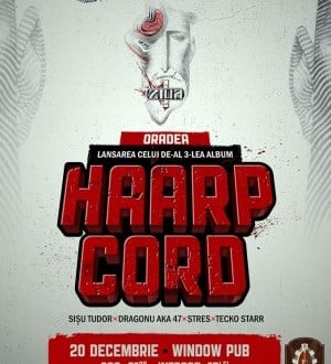 Window Pub - Haarp Cord