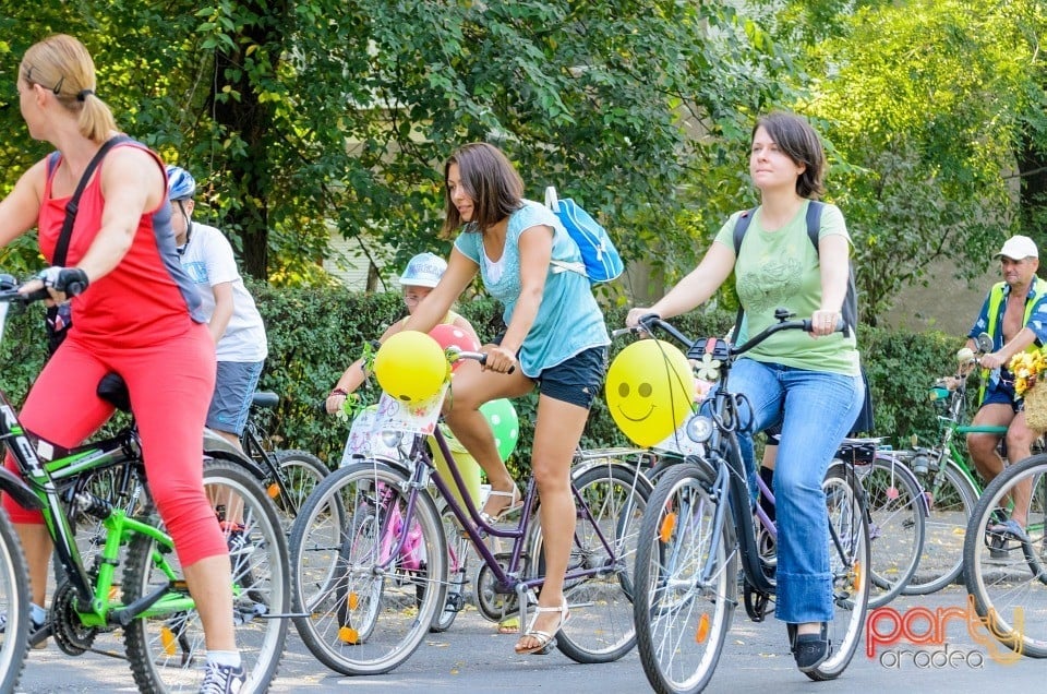 Biciclete Cochete, Oradea