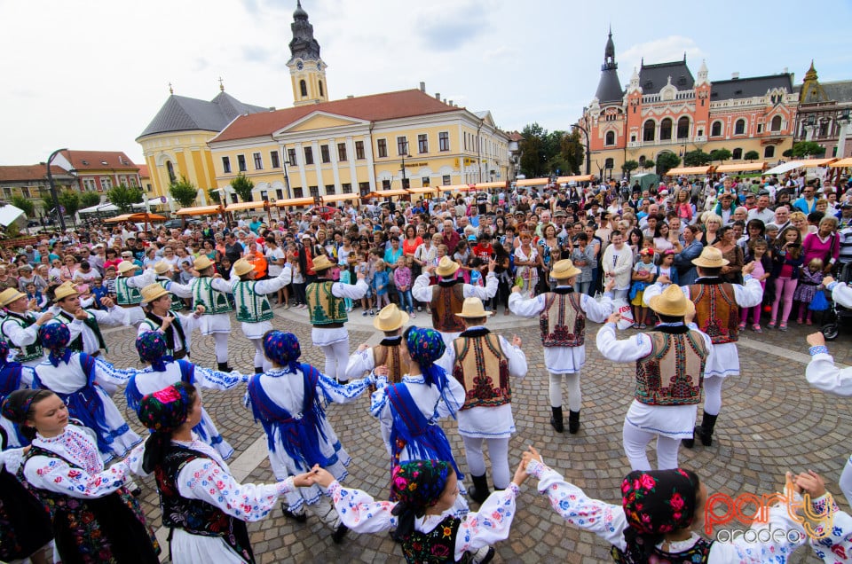Carnavalul Florilor 2017, Oradea