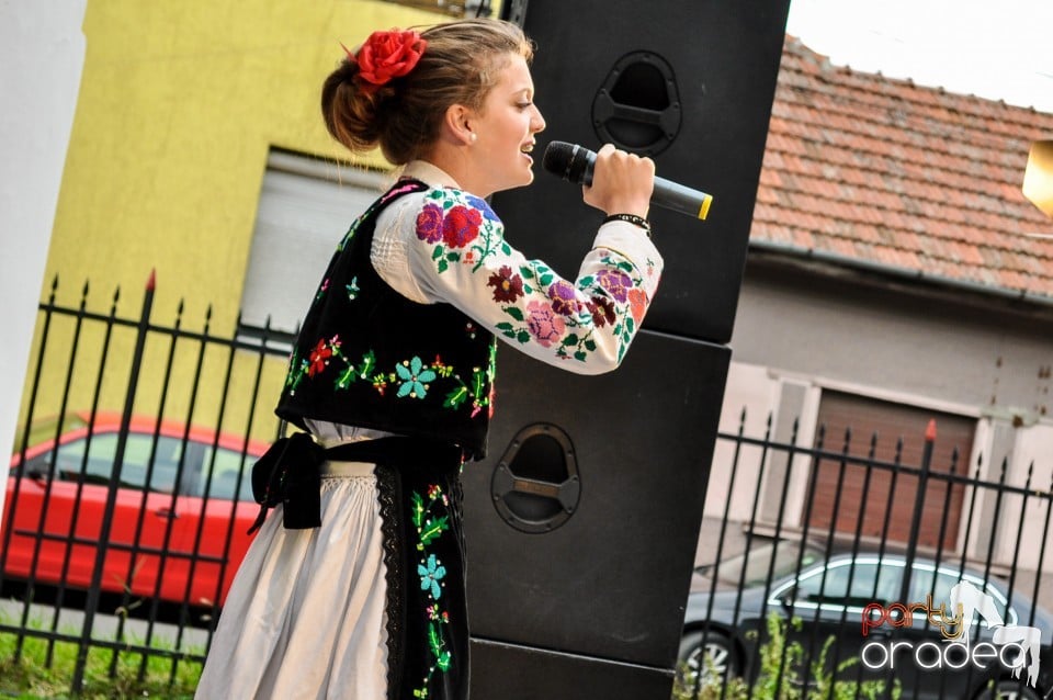 Concerte in parcul Balcescu, Oradea