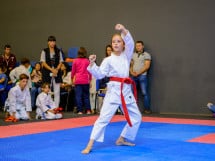 Concurs de Karate