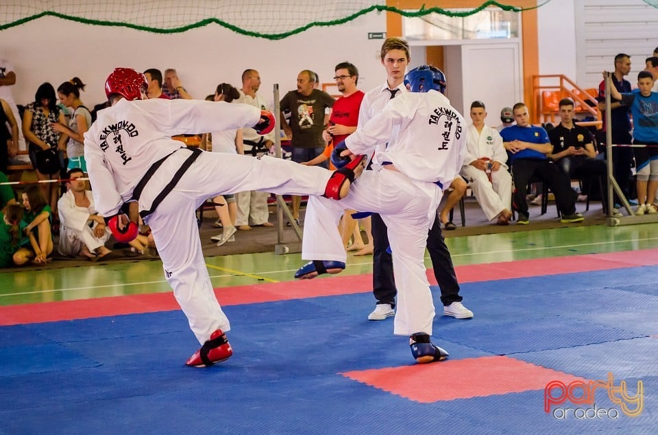 Cupa Internaţională de Taekwon-Do, Universitatea din Oradea