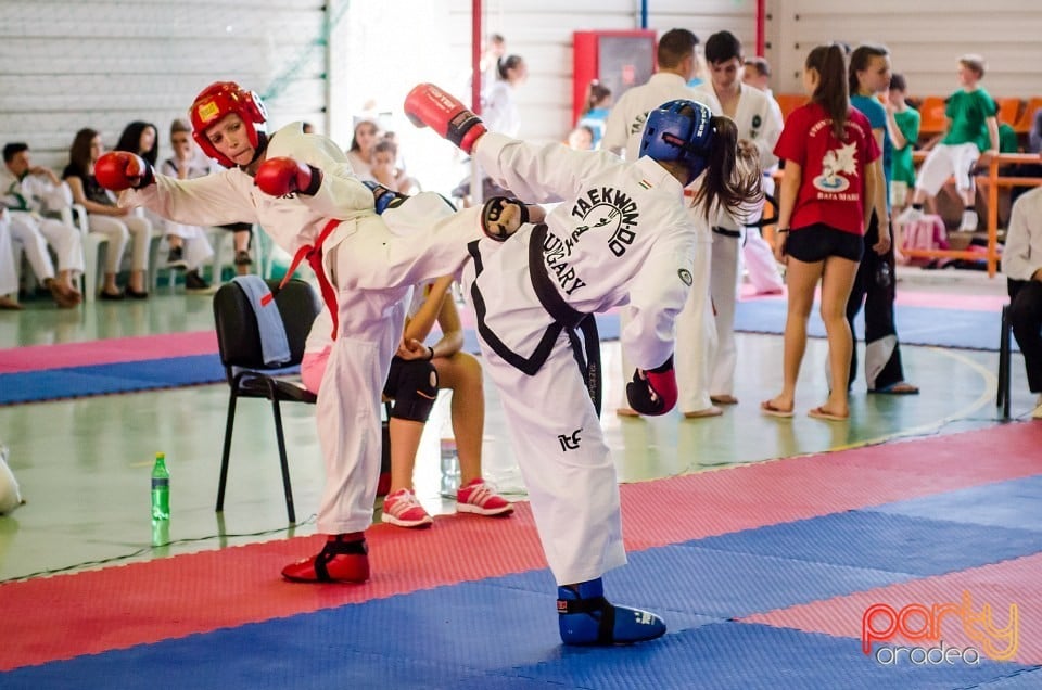 Cupa Internaţională de Taekwon-Do, Universitatea din Oradea