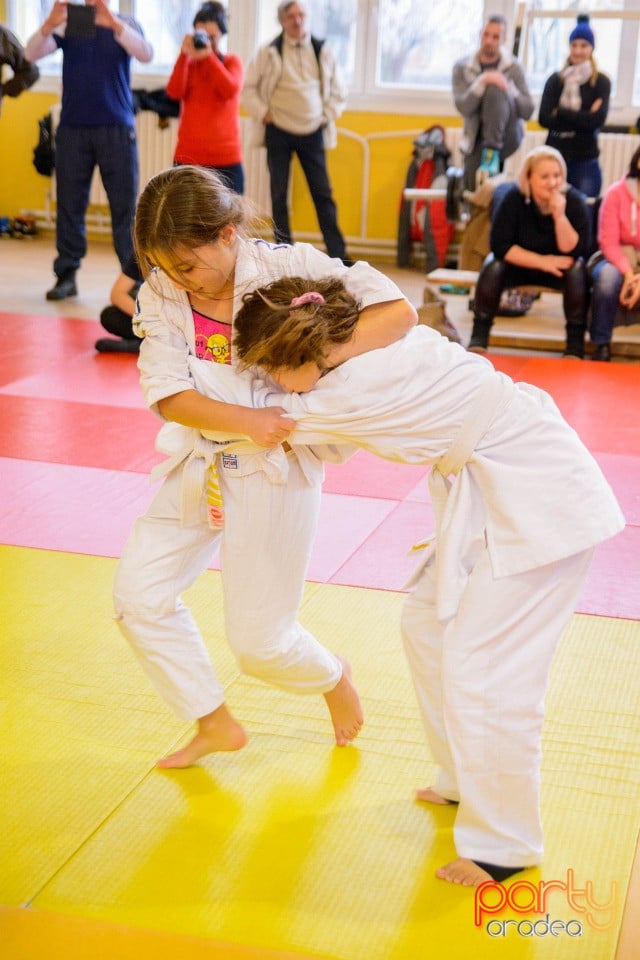 Demonstratia micilor Judoka, Liceul cu Program Sportiv