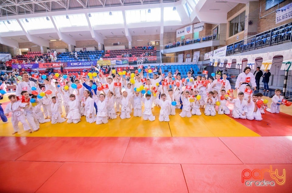 Demonstratia micilor Judoka, Arena Antonio Alexe