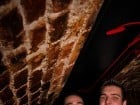 Escape Club joi seara