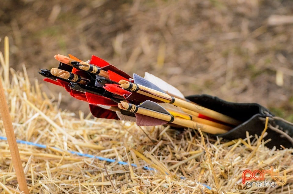 Expoziţie de arme şi armuri, Cetatea Oradea