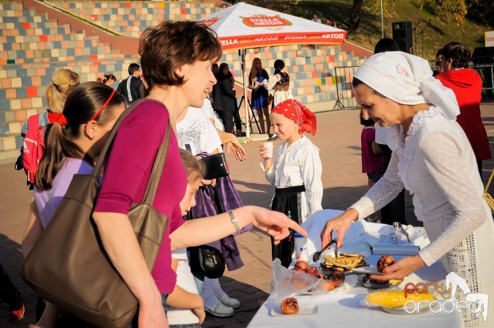 Festivalul copiilor, Oradea