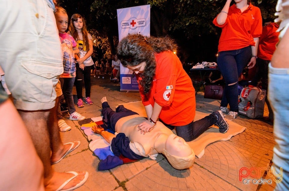 Festivalul Luminii, Oradea