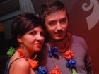 Hawaii Party