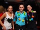 Hawaii Party