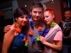 Hawaii Party