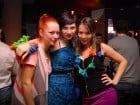 Hawaii Party