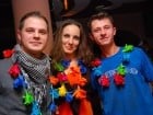 Hawaii Party