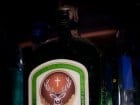 Jägermeister Party în Seven