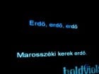 Karaoke Party în Chanson