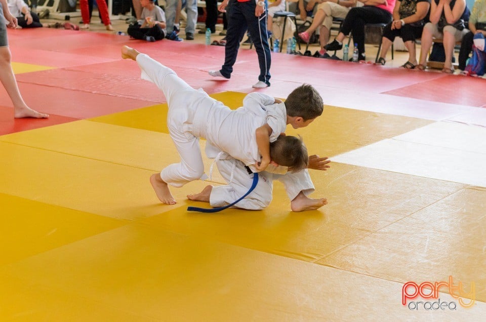Micii judoka la Examen de Mon, Liceul cu Program Sportiv