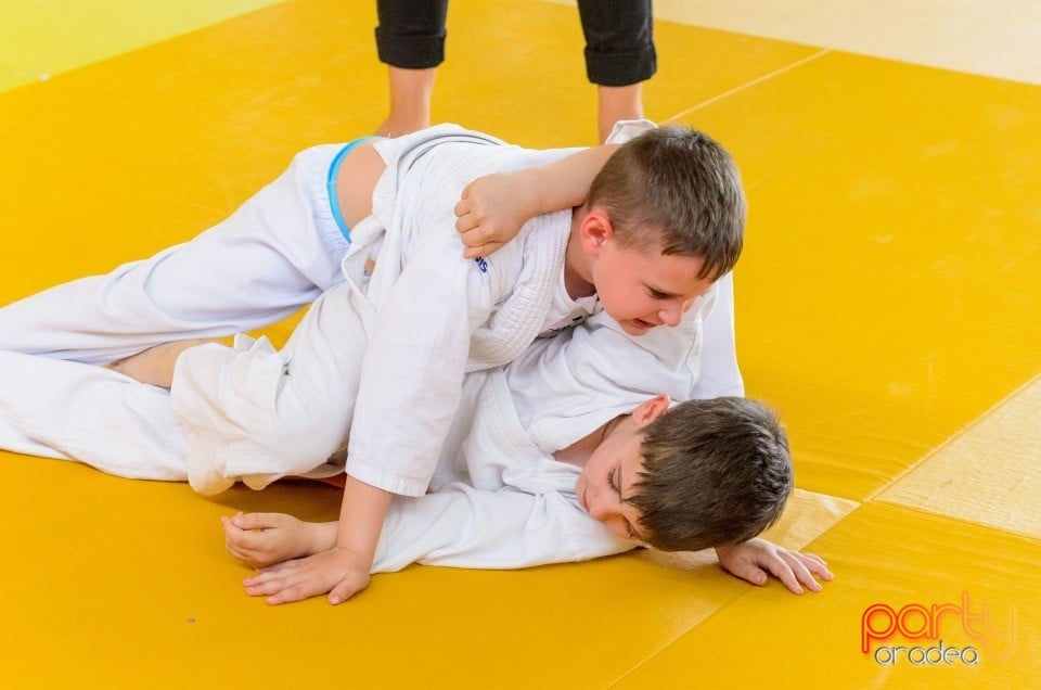 Micii judoka la Examen de Mon, Liceul cu Program Sportiv