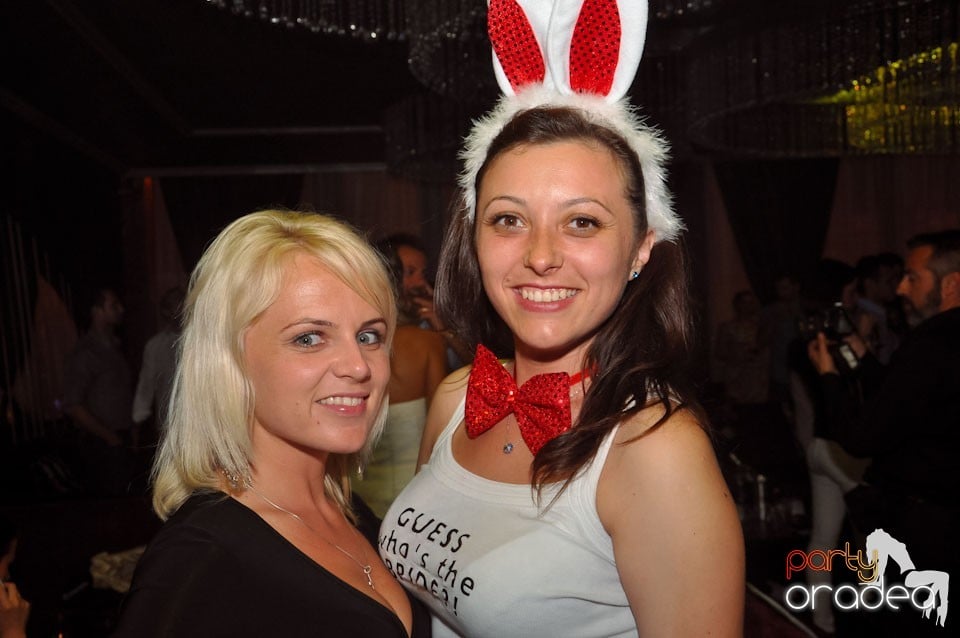 Party cu Roboman în The One, 