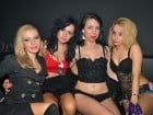 "Prestige" Grand Opening cu Paraziţii