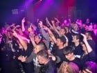 "Prestige" Grand Opening cu Paraziţii