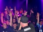 "Prestige" Grand Opening cu Paraziţii
