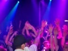 "Prestige" Grand Opening cu Paraziţii