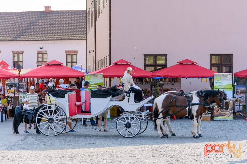 Sărbătoarea Recoltei, Cetatea Oradea