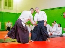 Stagiu Aikido