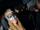 Wild Night Party