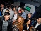 Wild Night Party