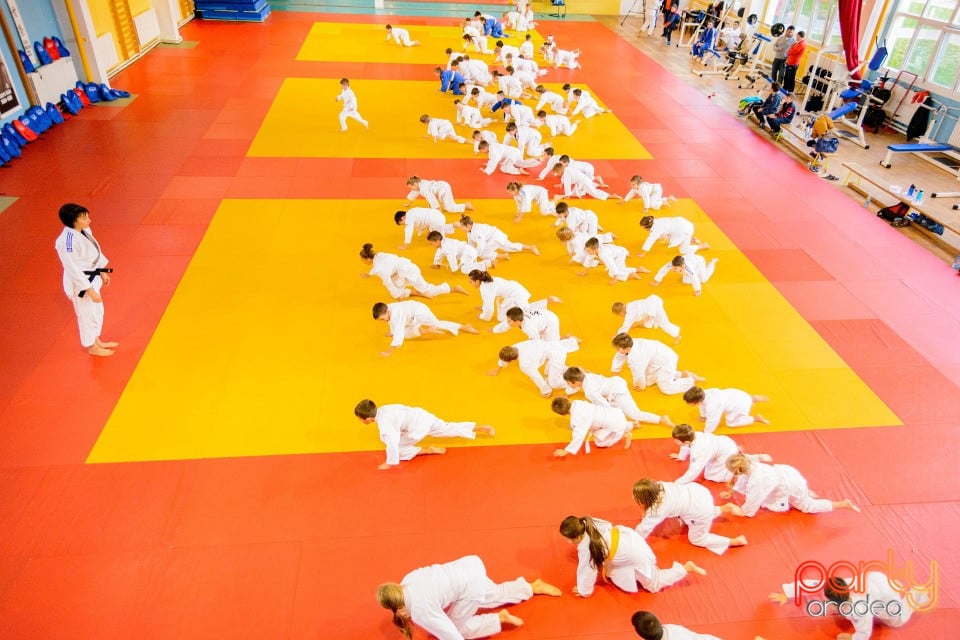 WORLD Judo Day 2016, Liceul cu Program Sportiv