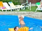 Yellow Pool Party