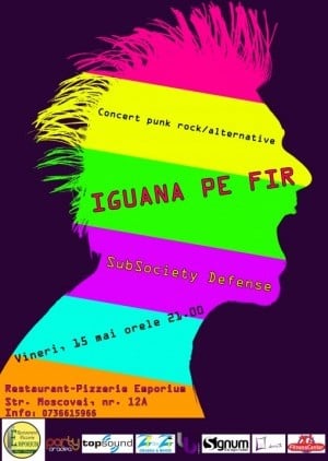 Iguana Pe Fir