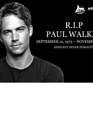 Night Cruise in Memory of Paul Walker