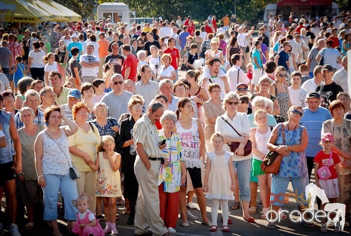 A înflorit Oradea, 