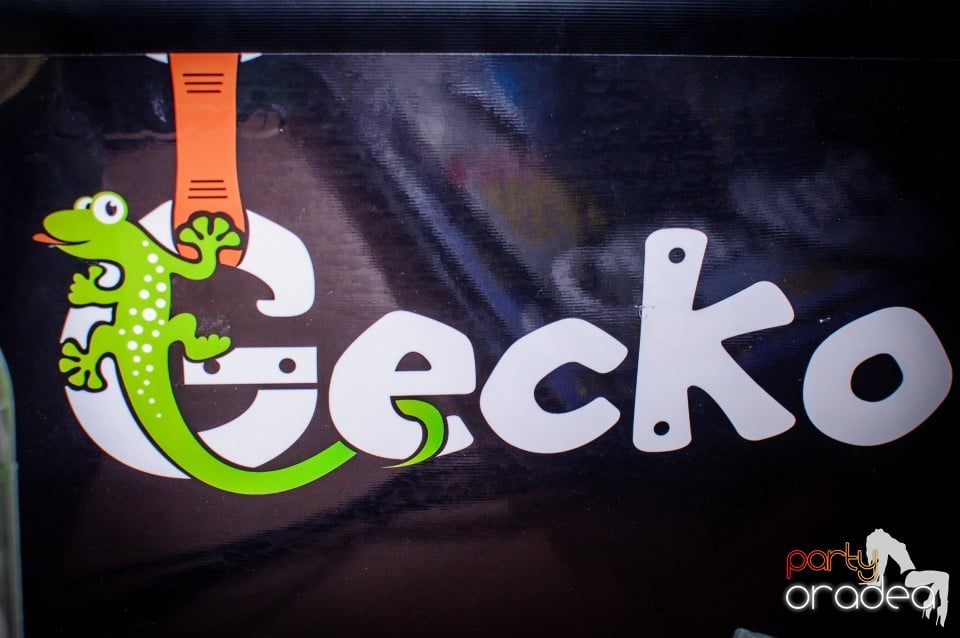 Aniversare de 1 an, Sala de escalada GeckoClimb