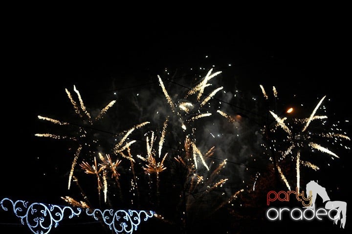 Artificii de Revelion 2012, 