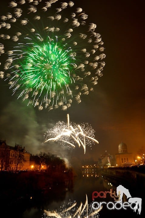 Artificii de Revelion 2012, 