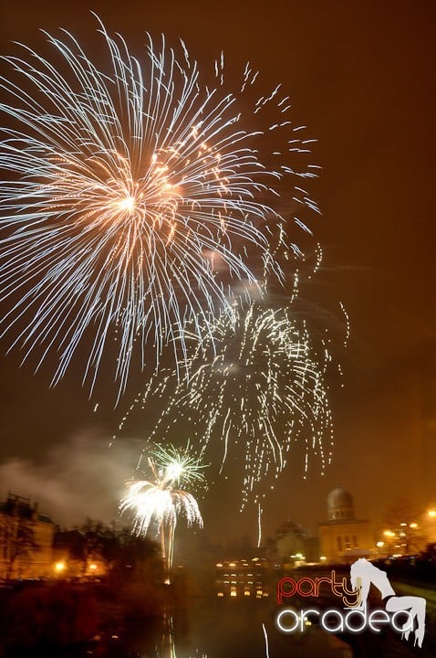 Artificii de Revelion 2012, 