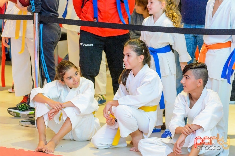 Campionat Internaţional de Karate, 