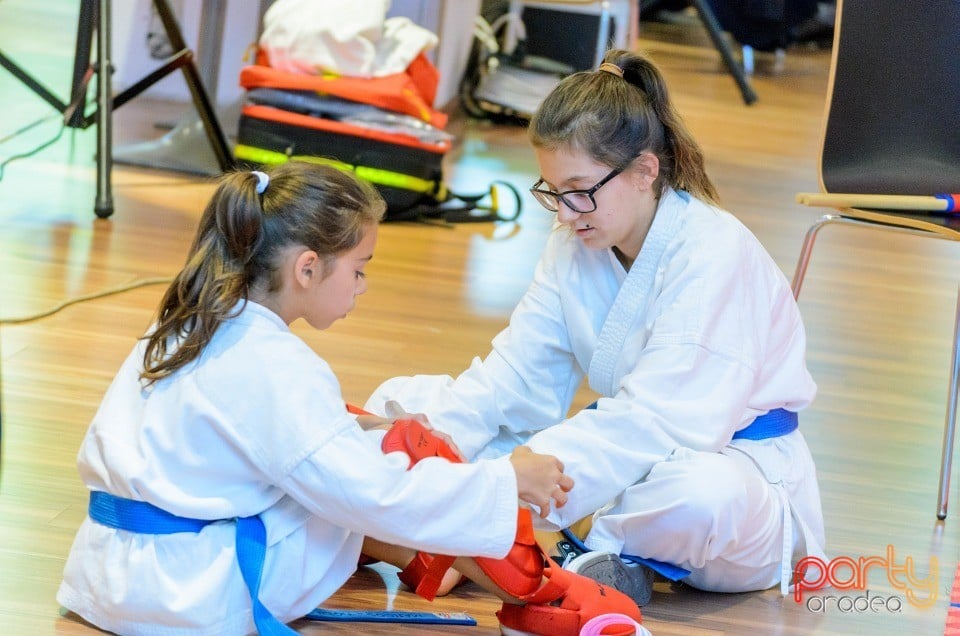 Campionat Internaţional de Karate, 