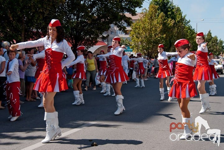 Carnavalul Florilor 2011, 