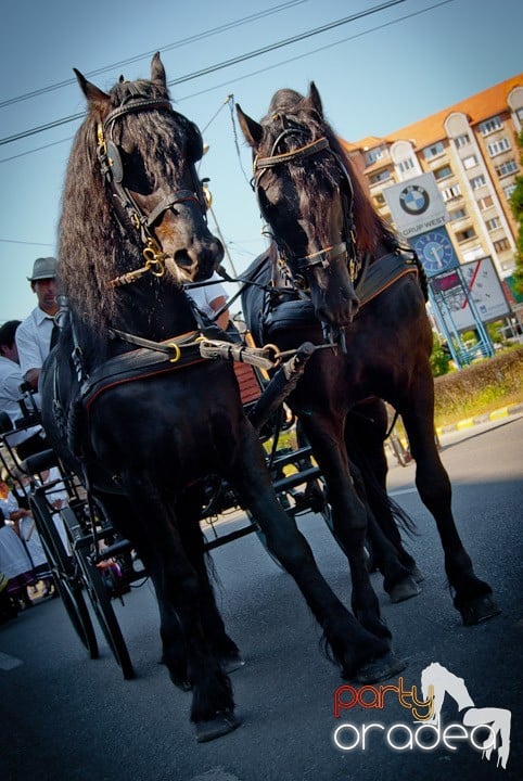 Carnavalul Florilor 2011, 