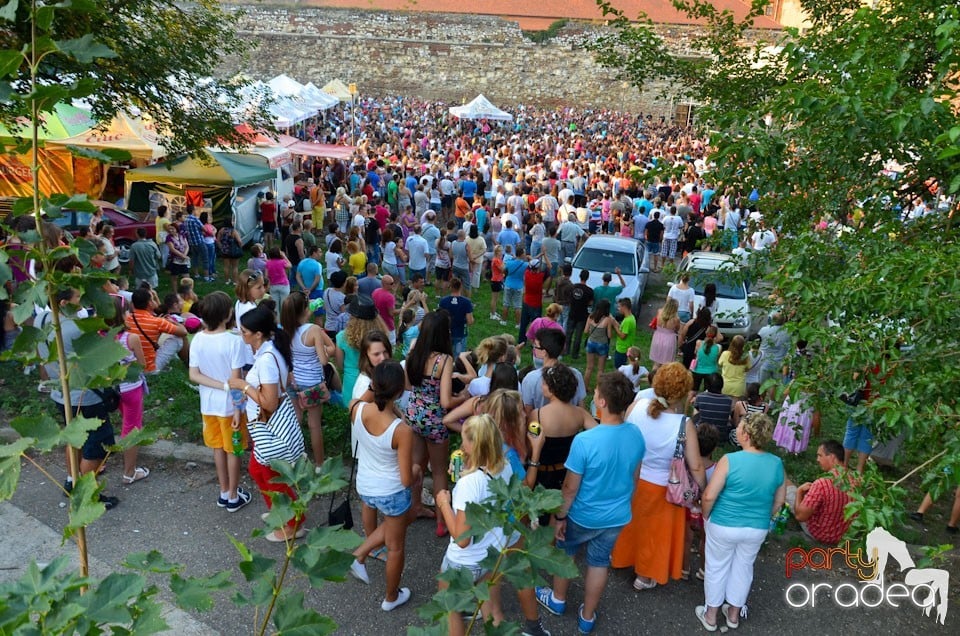 Concert Alex Velea, Cetatea Oradea