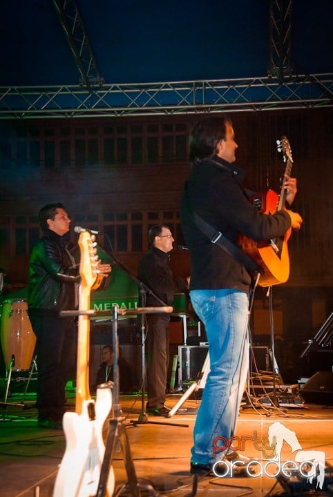 Concert Berki.ro, 