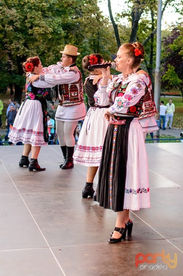 Concert Florile Bihorului, Oradea